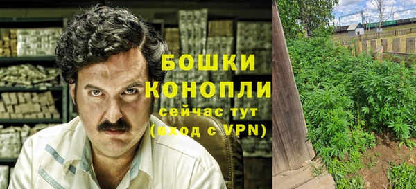 стафф Аркадак