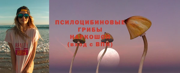 шишки Армянск