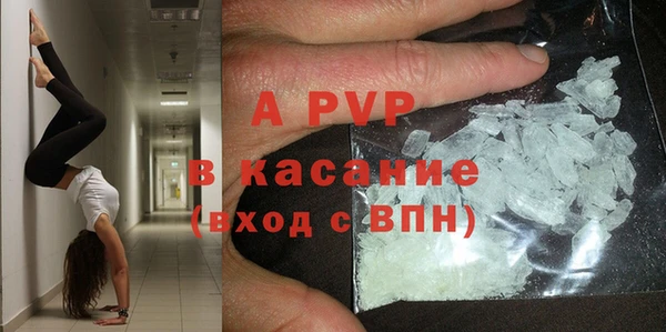 шишки Армянск