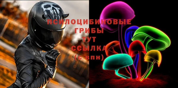 стафф Аркадак