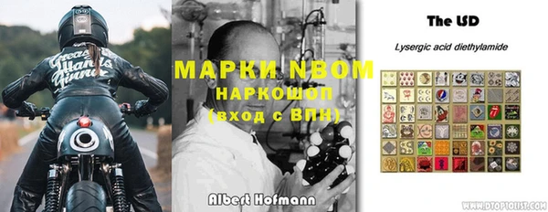 стафф Аркадак