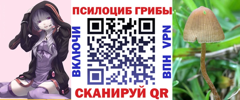 Псилоцибиновые грибы GOLDEN TEACHER  маркетплейс состав  Очёр 